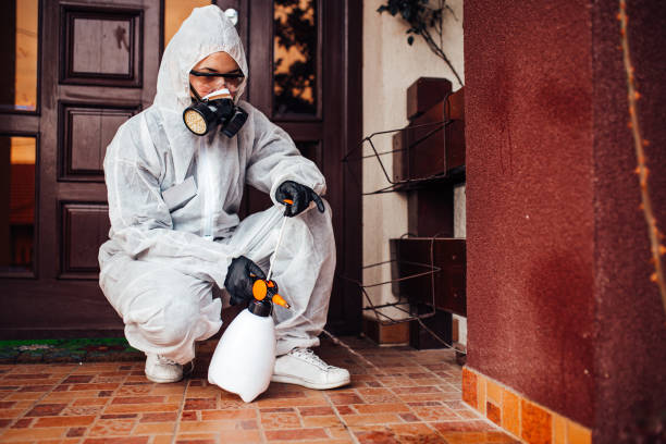 Attic and Crawl Space Rodent Treatment in Passapatanzy