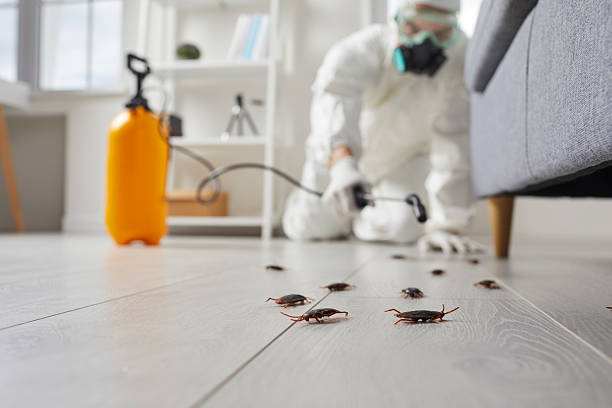 Commercial Rodent Management in Passapatanzy